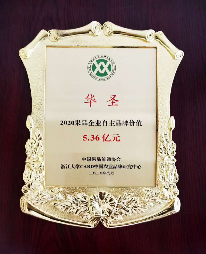 1600062128435167.jpeg 2.jpg