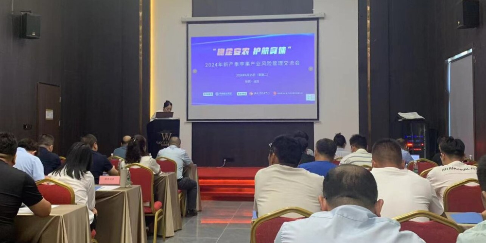 1719815340202829.jpeg 1.jpg