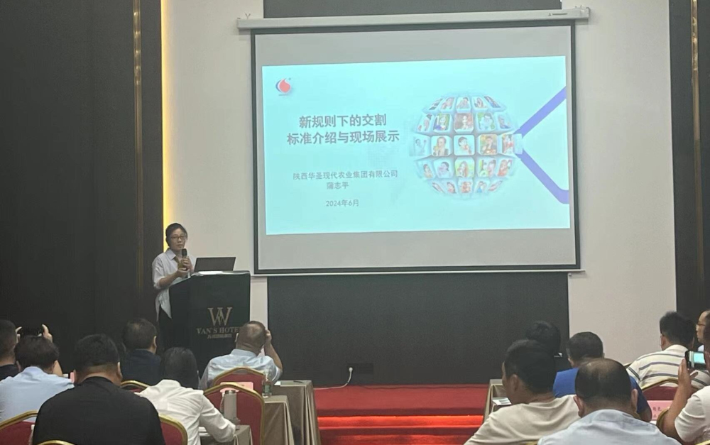 1719815450426294.jpeg 3.jpg