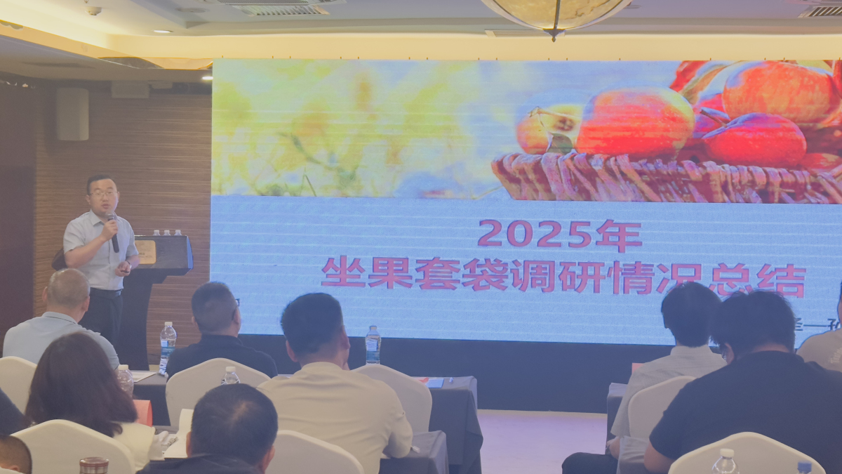 1749708632364997.jpeg 2 .jpg