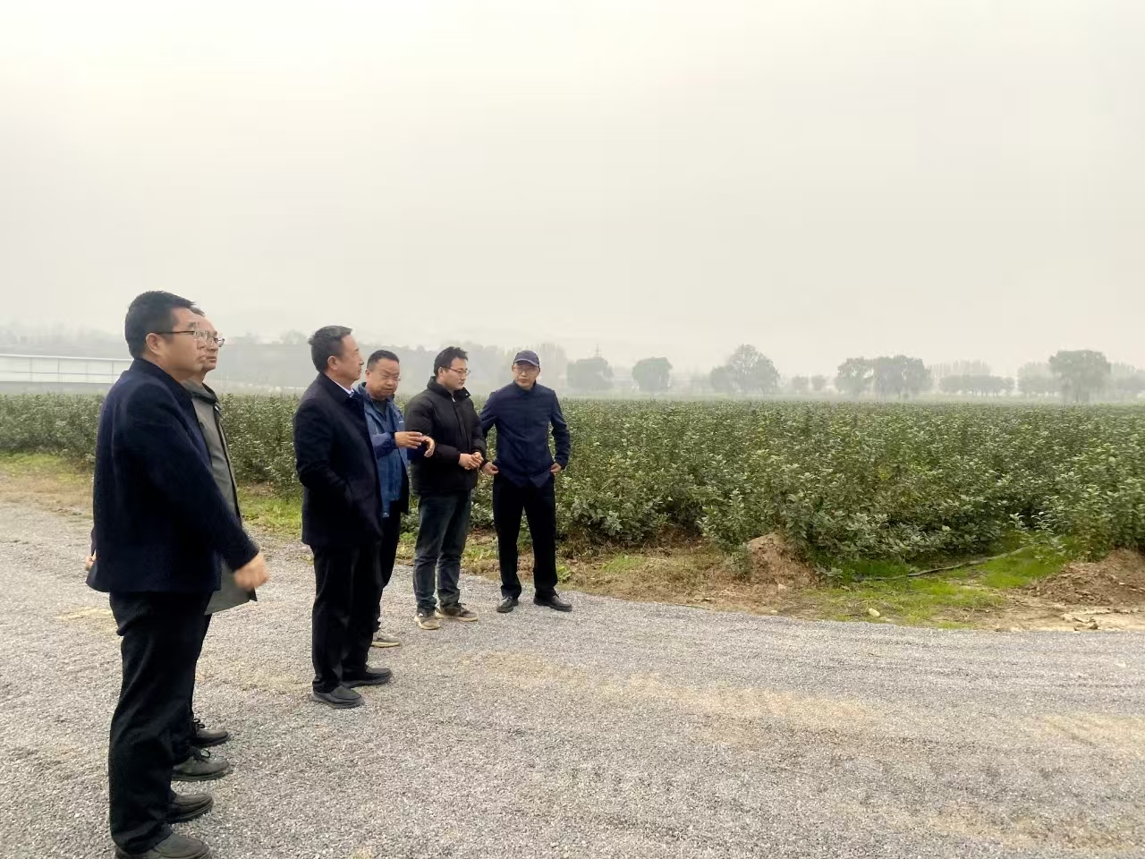 1762420807980644.jpeg 2.jpg