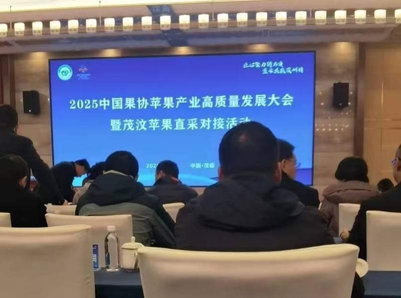 1762498162421188.jpeg 1_编辑.jpg