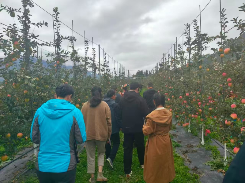 1762498226593991.jpeg 4_编辑.jpg