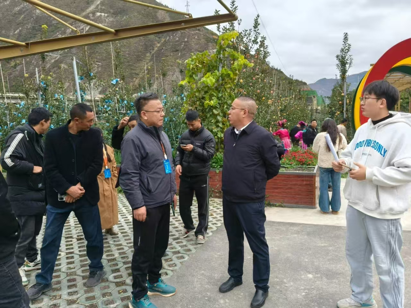 1762498252471005.jpeg 5.jpg