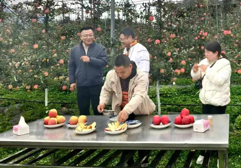 1762498269678417.jpeg 6.jpg