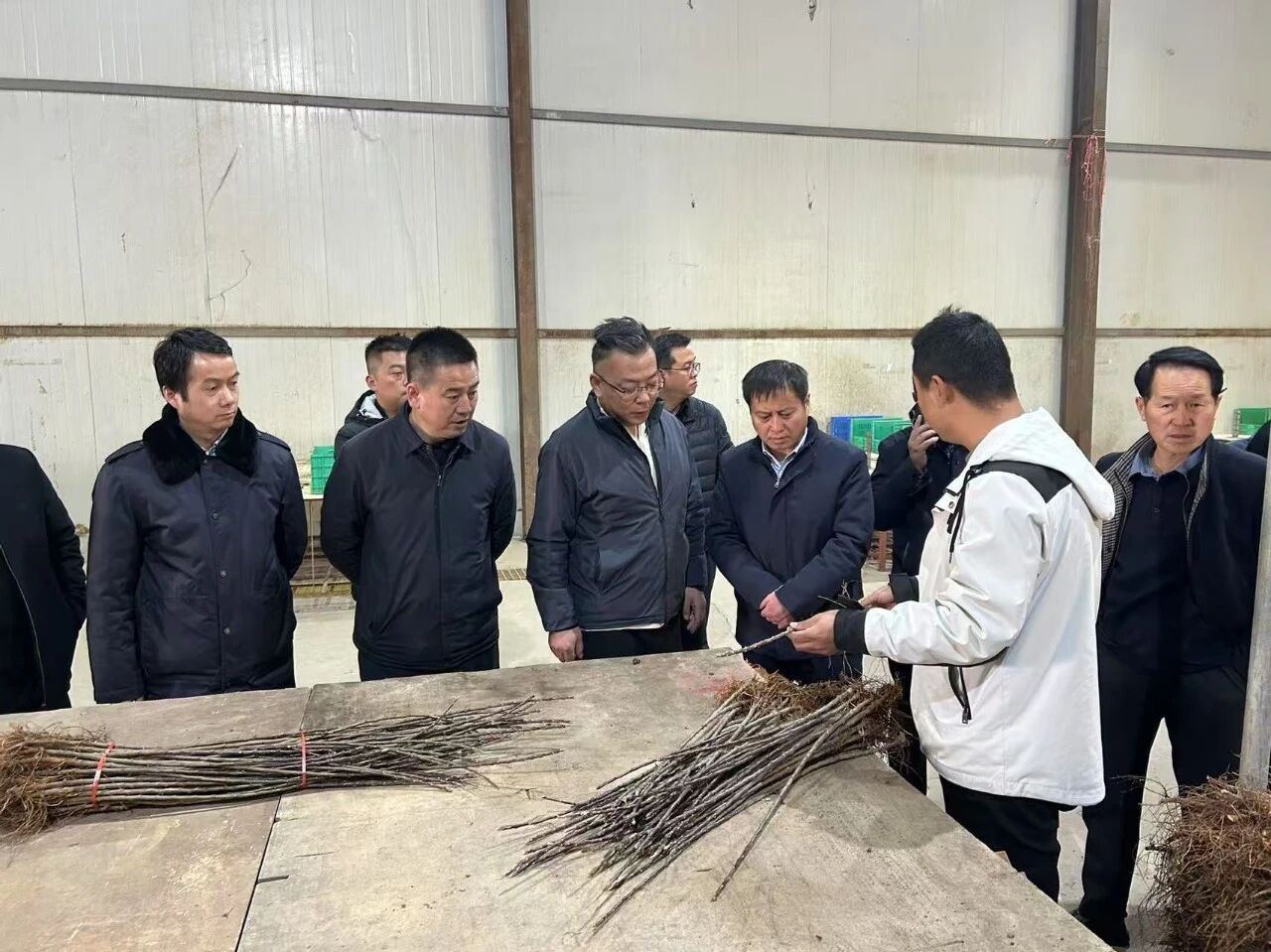 1764205722366827.jpeg 2.jpg