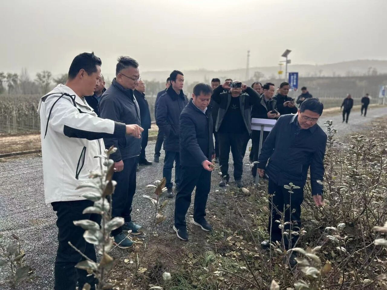 1764205741382696.jpeg 3.jpg