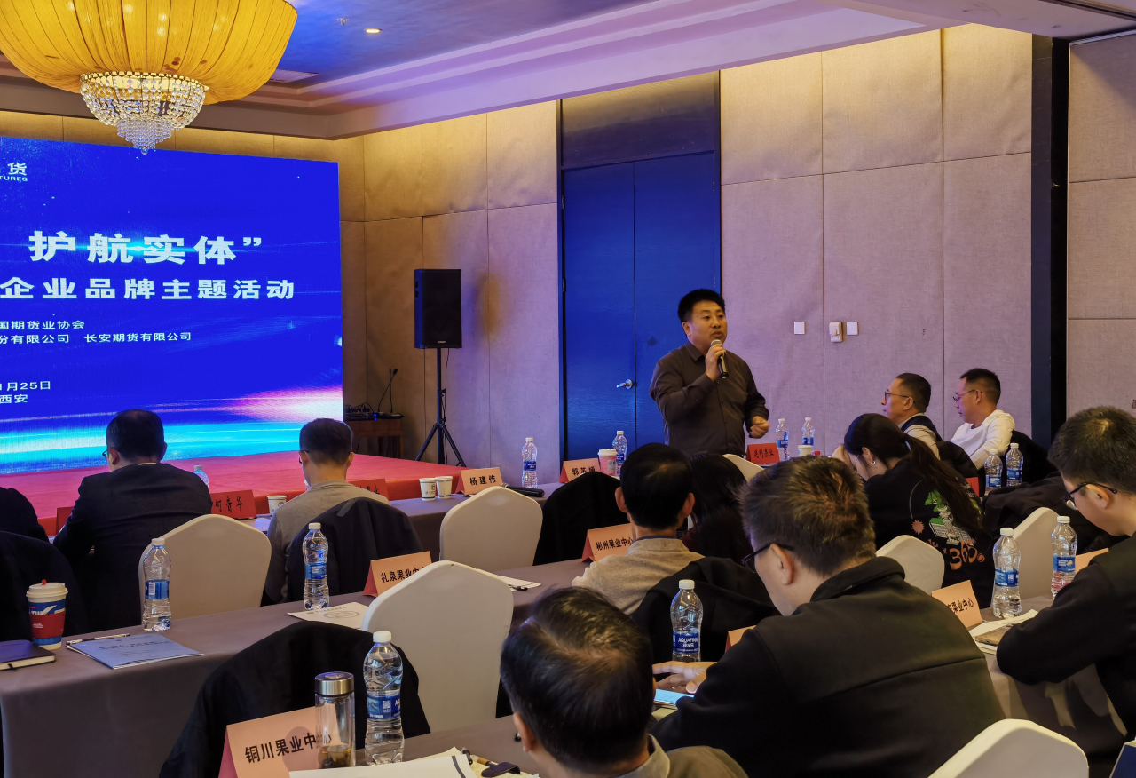 1764213891761231.jpeg 4.jpg