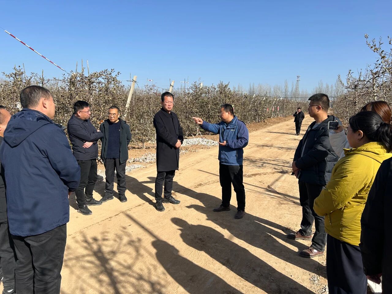 1764310710288985.jpeg 1.jpg