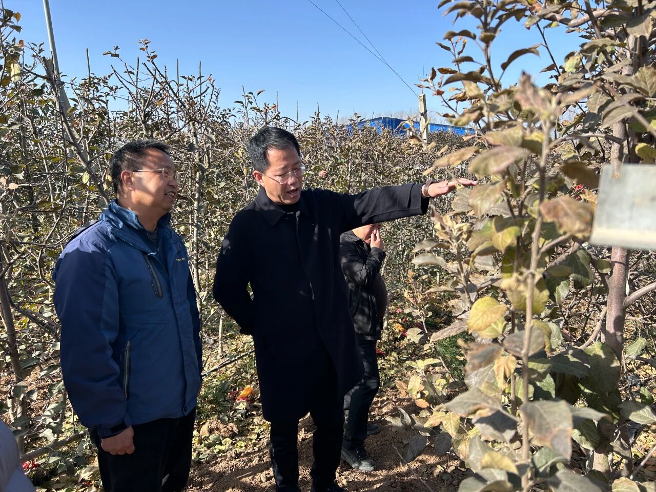 1764310738707123.jpeg 2.jpg