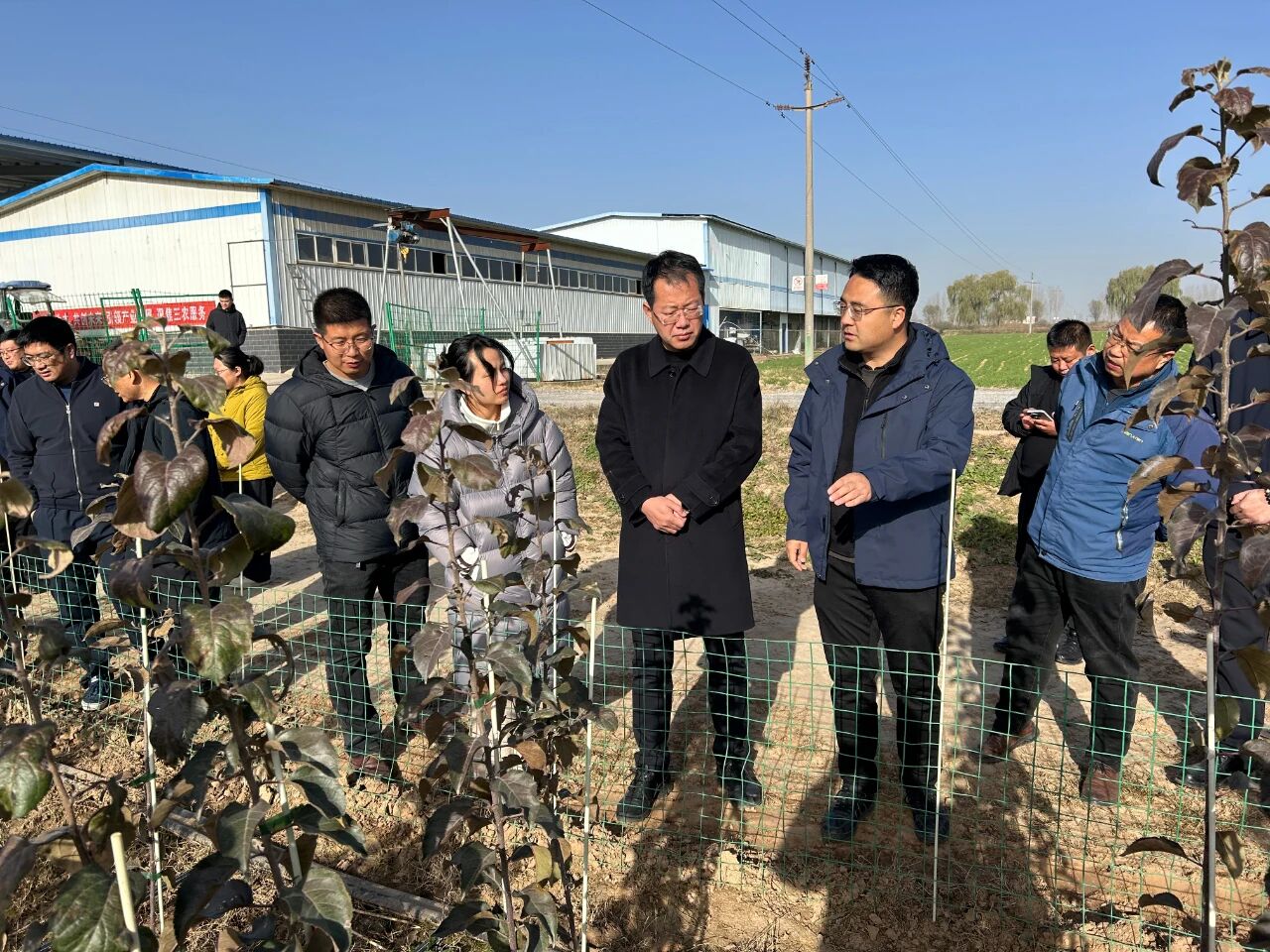 1764310752491439.jpeg 3.jpg