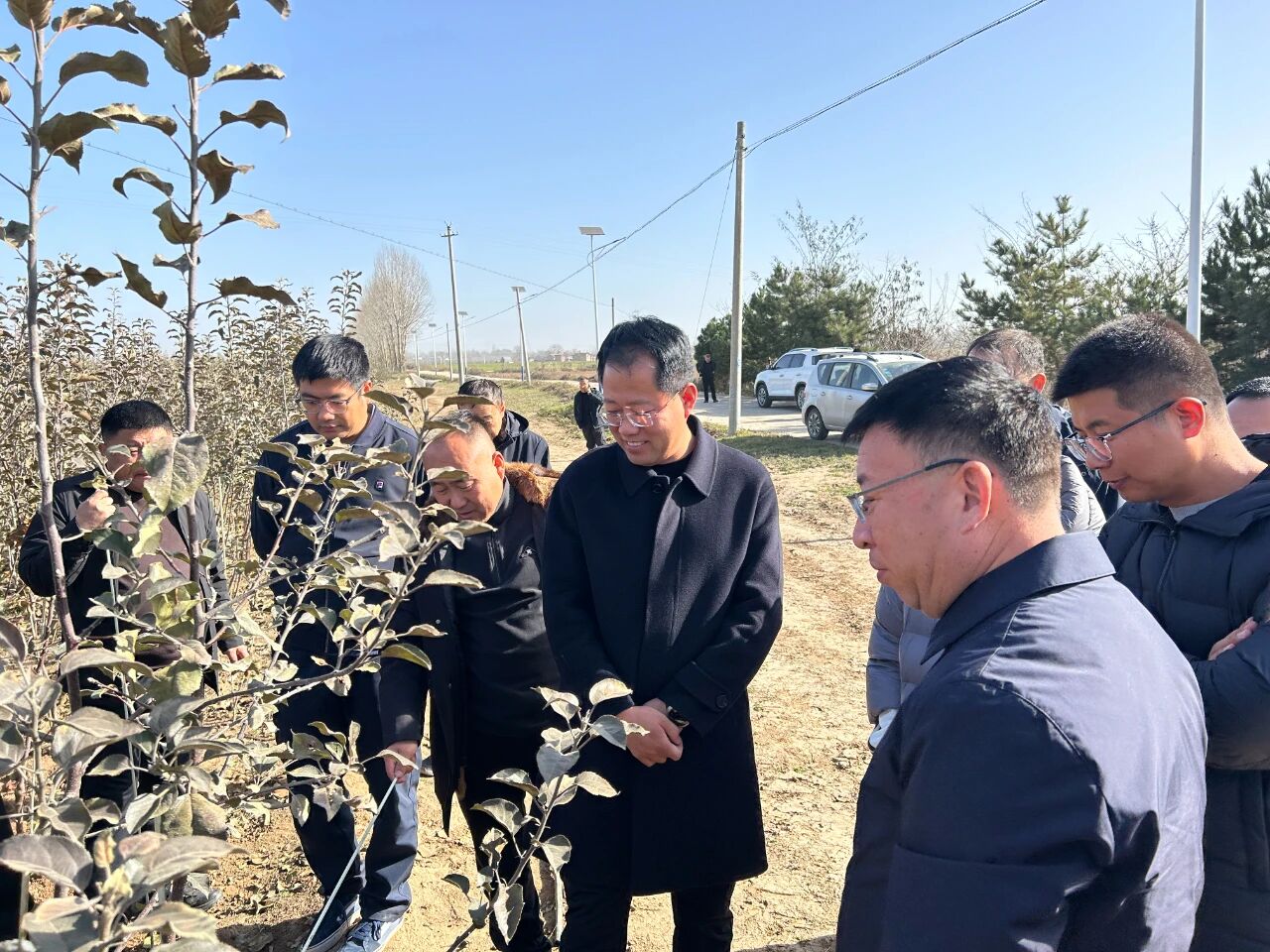 1764310780376414.jpeg 4.jpg