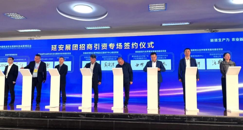 1764434208127835.png 1.png