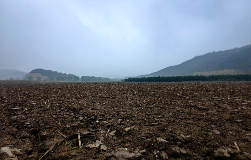 1764434261632956.png 2.png