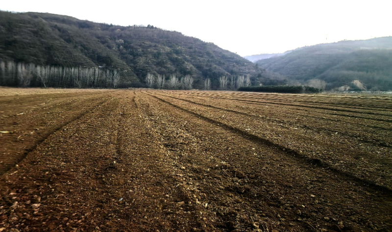 1764434450659865.png 8.png