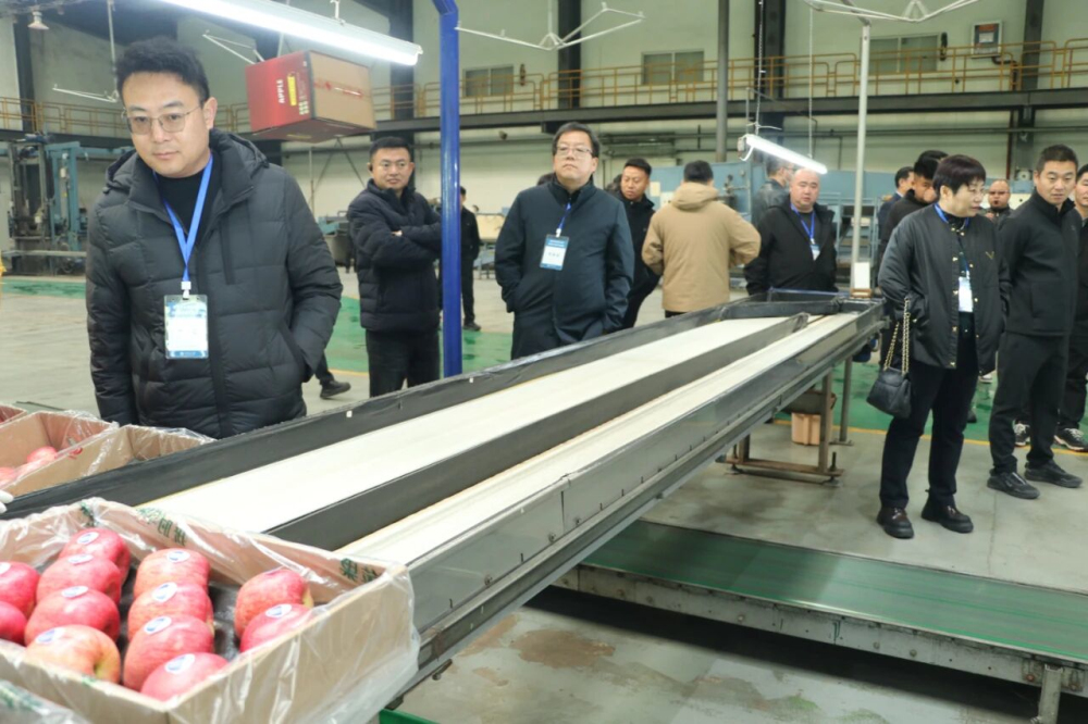 1764753170811834.jpeg 3.jpg