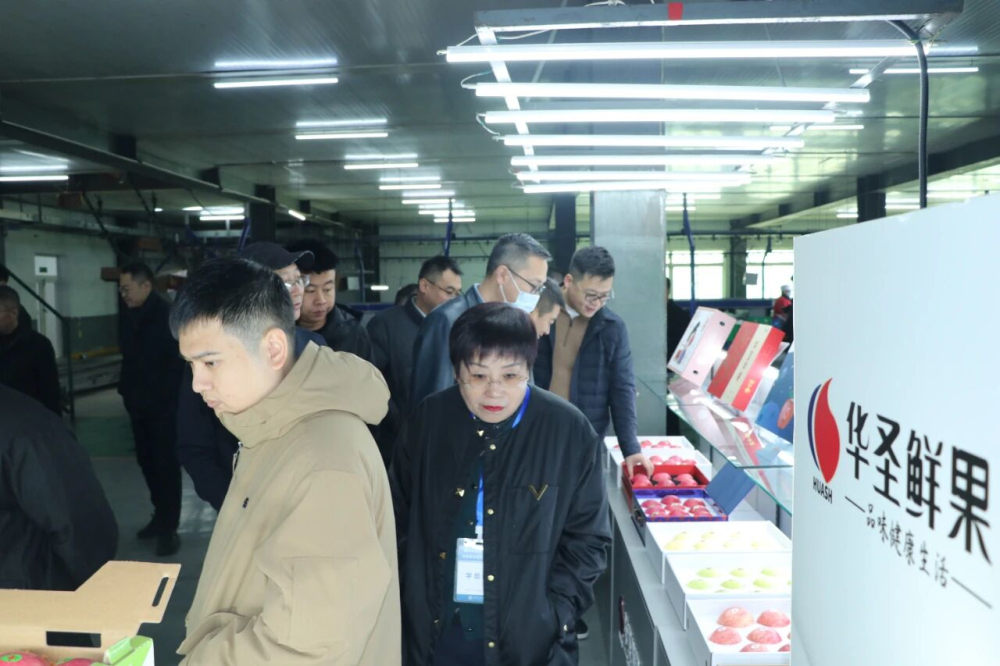 1764753262955917.jpeg 4.jpg