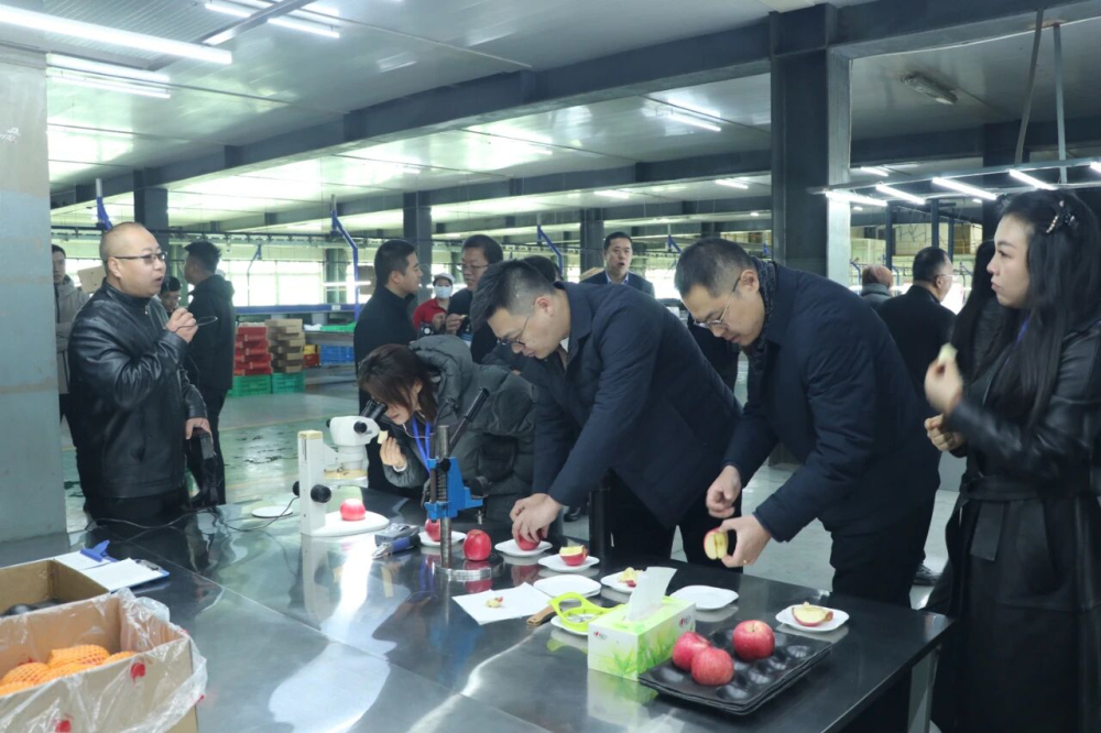 1764753283538203.jpeg 5.jpg