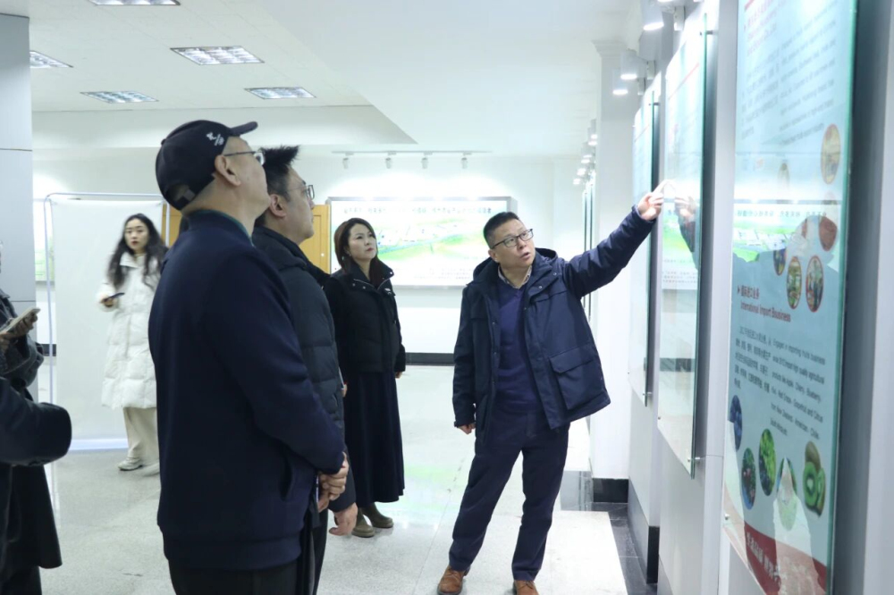 1764753352164515.jpeg 7.jpg