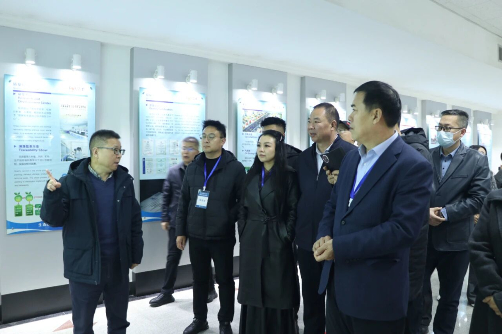 1764753366426306.jpeg 8.jpg