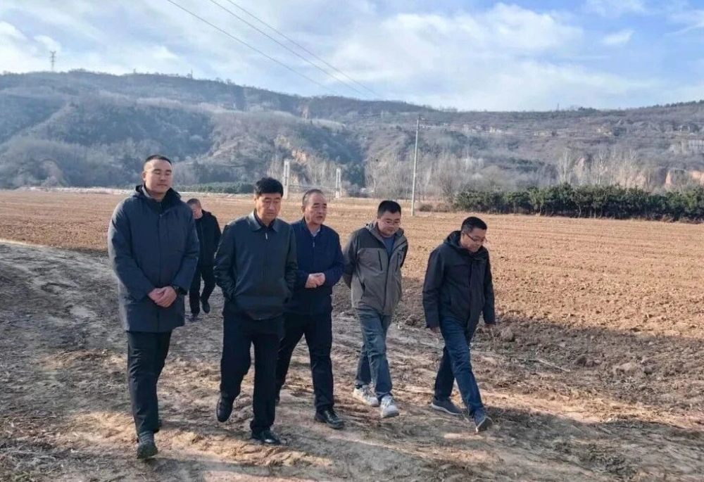 1764894944989448.jpeg 1.jpg