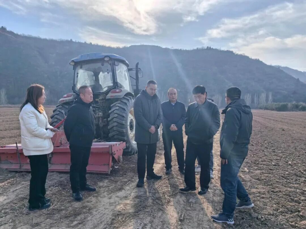 1764895005480879.jpeg 3.jpg